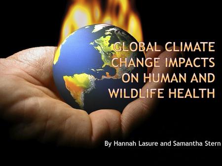 By Hannah Lasure and Samantha Stern.  Without global climate change, wildlife needs….  The right temperature  Fresh water  A food source  A place.