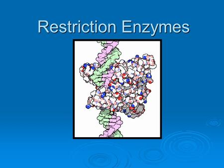 Restriction Enzymes.