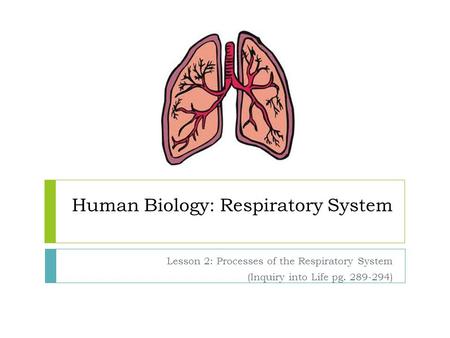 Human Biology: Respiratory System Lesson 2: Processes of the Respiratory System (Inquiry into Life pg. 289-294)