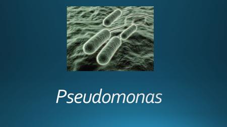  Pse. aeruginosa is found chiefly in soil and water  Approximately 10% of people carry it in the normal flora of the colon  It is found on.