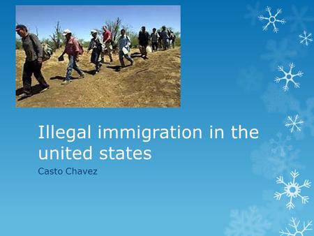 Illegal immigration in the united states