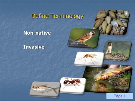 Define Terminology Non-nativeInvasive Page 1. Target versus Non-target Target Non-target Page 3.