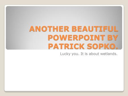 ANOTHER BEAUTIFUL POWERPOINT BY PATRICK SOPKO.