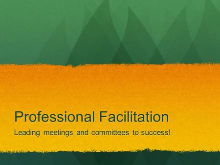 Professional Facilitation