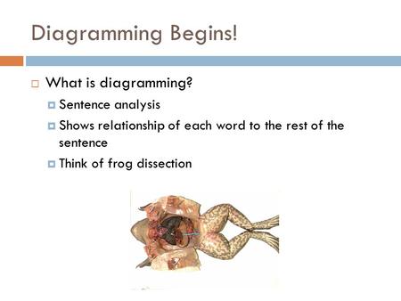 Diagramming Begins! What is diagramming? Sentence analysis