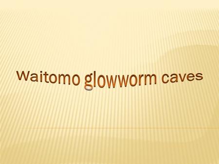 The Waitomo Glowworm Caves attraction is a cave at Waitomo on the North Island of New Zealand, known for its populationWaitomoNorth IslandNew Zealand.