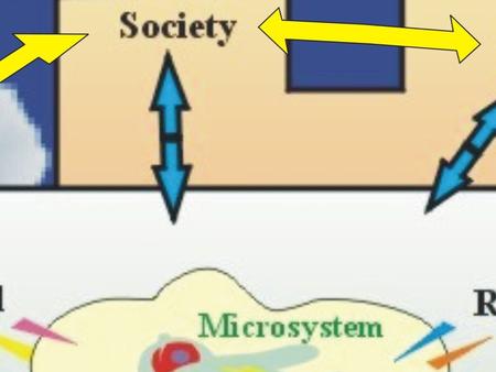 Bronfenbrenner’s Ecological Model in Relation to a Resource classroom Lisa O’Donnell.