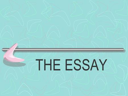 THE ESSAY.