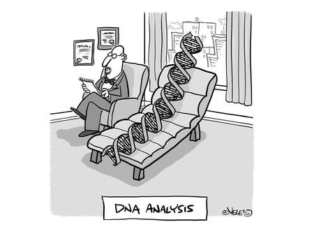 Question of the Day Question: Give the RNA sequence made from the DNA sequence ATGCTAGCT. RNA DNA Nucleus 1’s Turn in: p. 353 A.Q. 1ab, 2b UACGAUCGA.