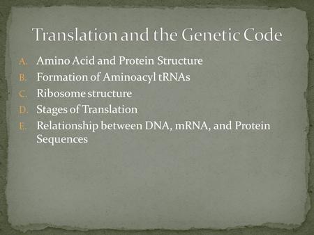 A. Amino Acid and Protein Structure B. Formation of Aminoacyl tRNAs C. Ribosome structure D. Stages of Translation E. Relationship between DNA, mRNA, and.