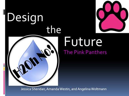 Jessica Sheridan, Amanda Westin, and Angelina Woltmann Design the Future The Pink Panthers.