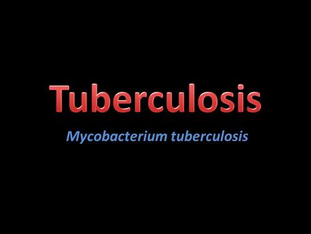 Mycobacterium tuberculosis