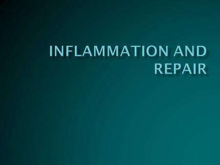 Inflammation and Repair