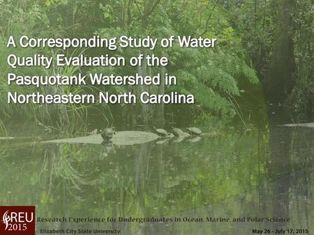 2015 Water Quality Research Team Jamal Stevenson Jeffrey Wood Mentor Ricky Dixon Steffi Walthall Raveen McKenzie.