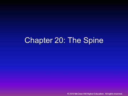 Chapter 20: The Spine.