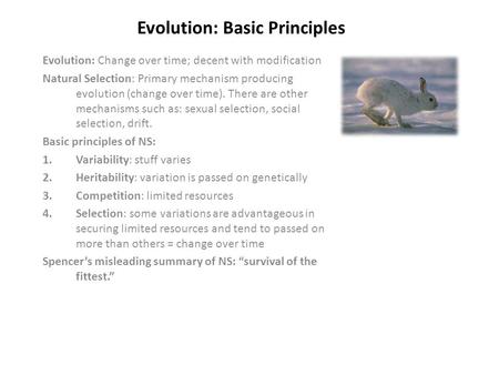 Evolution: Basic Principles