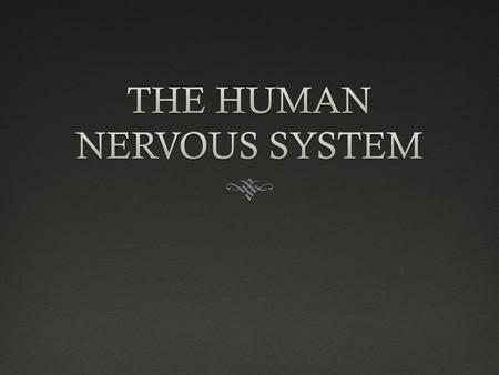 THE HUMAN NERVOUS SYSTEM  THE HUMAN NERVOUS SYSTEM IS BROKEN INTO TWO CATEGORIES  THE CENTRAL NERVOUS SYSTEM (C.N.S) VS.  THE PERIPHERAL NERVOUS SYSTEM.