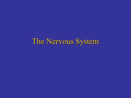 The Nervous System.