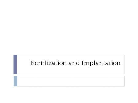 Fertilization and Implantation.  Fertilization:This is the process whereby the sperm meets the egg and genetic material (chromosomes) is mixed. ½ + ½.