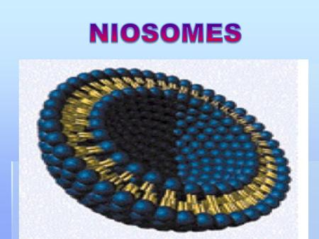 NIOSOMES.