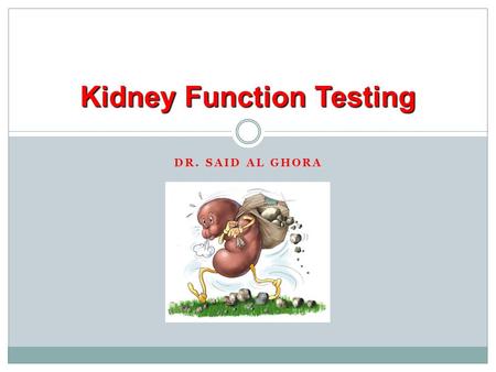 Kidney Function Testing