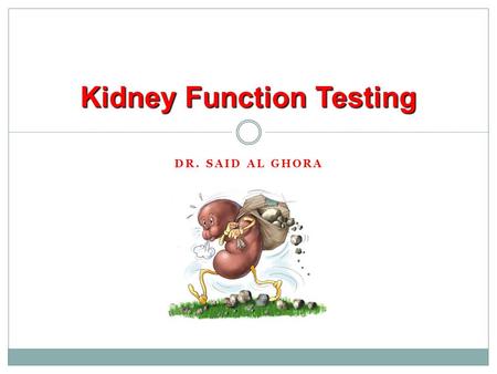 Kidney Function Testing