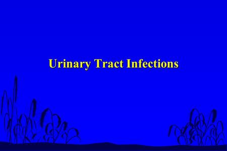 Urinary Tract Infections