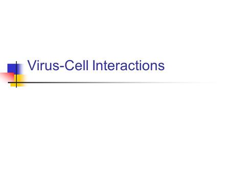 Virus-Cell Interactions