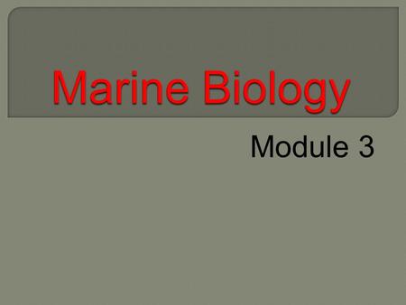 Module 3. Kingdom Monera Bacteria 1. Heterotrophic bacteria a. breaks down organic material into useful nutrients b. this is called decomposer.