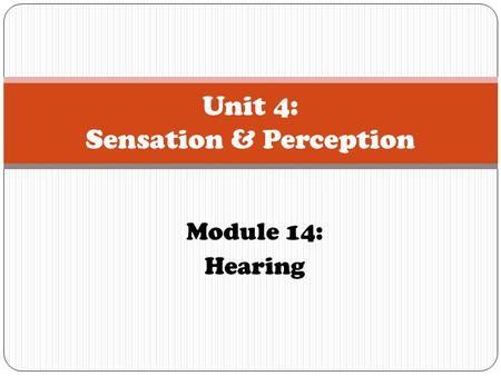 Unit 4: Sensation & Perception