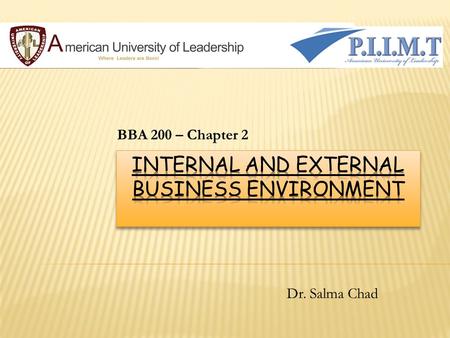 INTERNAL AND EXTERNAL BUSINESS ENVIRONMENT