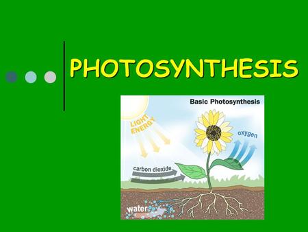 PHOTOSYNTHESIS.