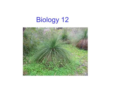 Biology 12. Respiration revision Glycolysis Glucose  pyruvate + 2 ATP Fermentation (plants) Pyruvate  alcohol + carbon dioxide Fermentation (animals)