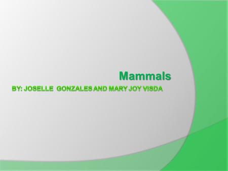 Mammals. The first Group Scientists separated mammals into three different groups 1. The first group is monotremes. 2. These strange mammals live in Australia.