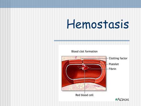 Hemostasis.