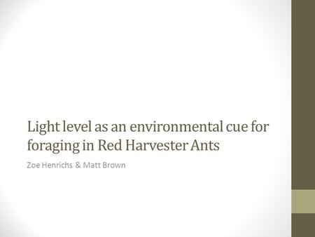 Light level as an environmental cue for foraging in Red Harvester Ants Zoe Henrichs & Matt Brown.