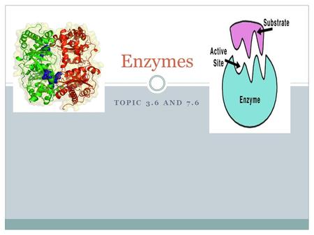 TOPIC 3.6 AND 7.6 Enzymes. Proteins Biological catalysts May break a substrate molecule down into simpler molecules, or join two or more substrate molecules.