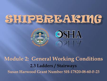 Module 2: General Working Conditions 2.3 Ladders / Stairways Susan Harwood Grant Number SH-17820-08-60-F-23.