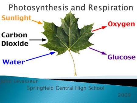 Photosynthesis and Respiration