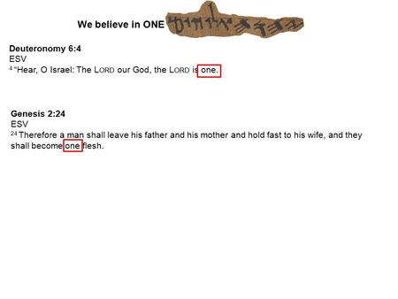 Deuteronomy 6:4 ESV 4 “Hear, O Israel: The L ORD our God, the L ORD is one. We believe in ONE Genesis 2:24 ESV 24 Therefore a man shall leave his father.