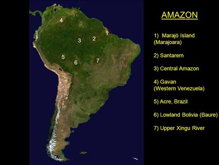 AMAZON 4 Marajó Island (Marajoara) 1 2 2) Santarem 3 3) Central Amazon