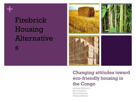 + Changing attitudes toward eco-friendly housing in the Congo Lindsay MacLeod Reina Ingham Reyna Schenck Melissa Sullivan Firebrick Housing Alternative.