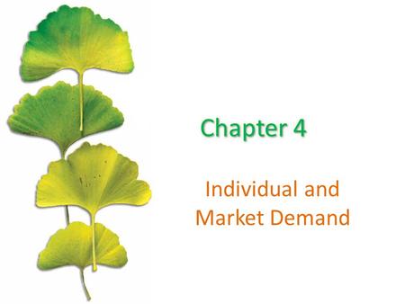 Individual and Market Demand. Chapter Outline ©2015 McGraw-Hill Education. All Rights Reserved. 2 The Effects of Changes in the Price The Effects of Changes.