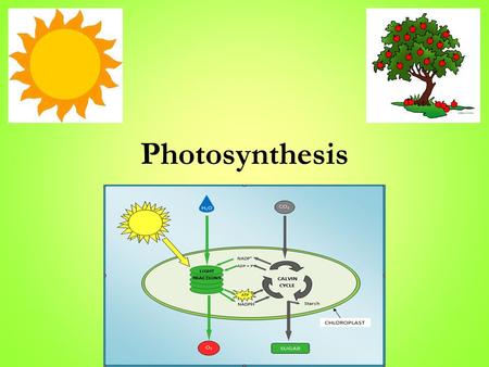 Trapping the Sun’s Energy