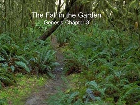 The Fall in the Garden Genesis Chapter 3. The Fall in the Garden – Setting the Stage Adam was created first out of the dust of the ground before Eve and.