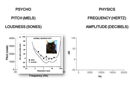 Human Psychoacoustics shows ‘tuning’ for frequencies of speech If a tree falls in the forest and no one is there to hear it, will it make a sound?