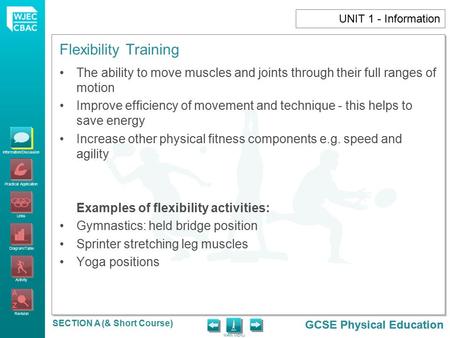 Information/Discussion Practical Application Links Diagram/Table Activity Revision GCSE Physical Education MAIN MENU SECTION A (& Short Course) GCSE Physical.