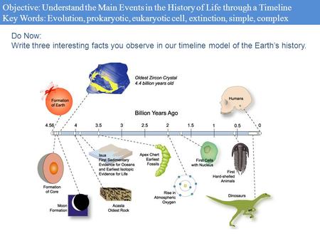 Objective: Understand the Main Events in the History of Life through a Timeline Key Words: Evolution, prokaryotic, eukaryotic cell, extinction, simple,