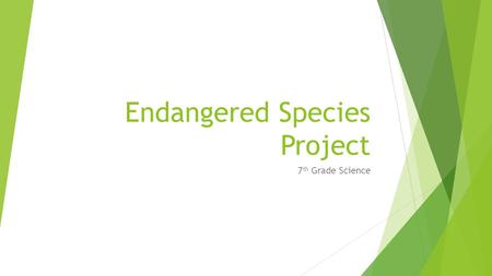 Endangered Species Project