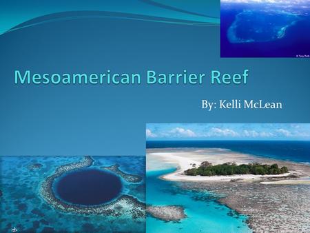 Mesoamerican Barrier Reef